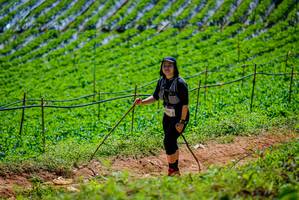 BIB: 
                            <button type="button" onclick="openModal(19164566)" class="btn btn-primary btn-sm float-right btn-popup" data-toggle="modal" data-target=".modal-high-quality">
                        <i class="fas fa-shopping-cart"></i> Add to Cart
                    </button>
                                            <button type="button" onclick="isThisMe(19164566, true)" class="btn btn-success btn-sm float-right btn-popup btn-isme hidden" data-toggle="tooltip" data-placement="bottom" title="นี่คือรูปของคุณใช่ไหม คลิกที่นี่เพื่อเอาเข้าอัลบั้ม">
                        <i class="fas fa-plus"></i> Add to album
                    </button>
                    <button type="button" onclick="isThisMe(19164566, false)" class="btn btn-warning btn-sm float-right btn-popup btn-isnotme hidden">
                        <i class="fas fa-ban"></i> Remove from album
                    </button>